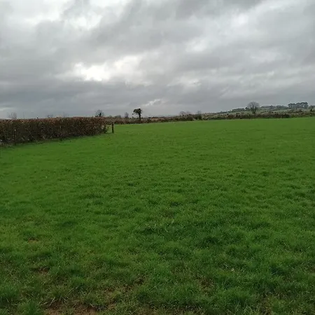 Hook Lighthouse Feevaghmore