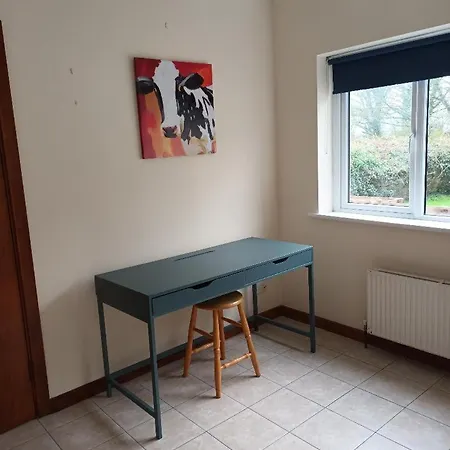 Hook Lighthouse Feevaghmore