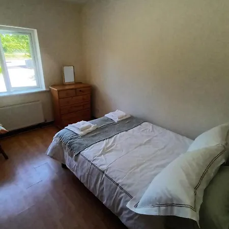 Dom wakacyjny Hook Lighthouse Feevaghmore