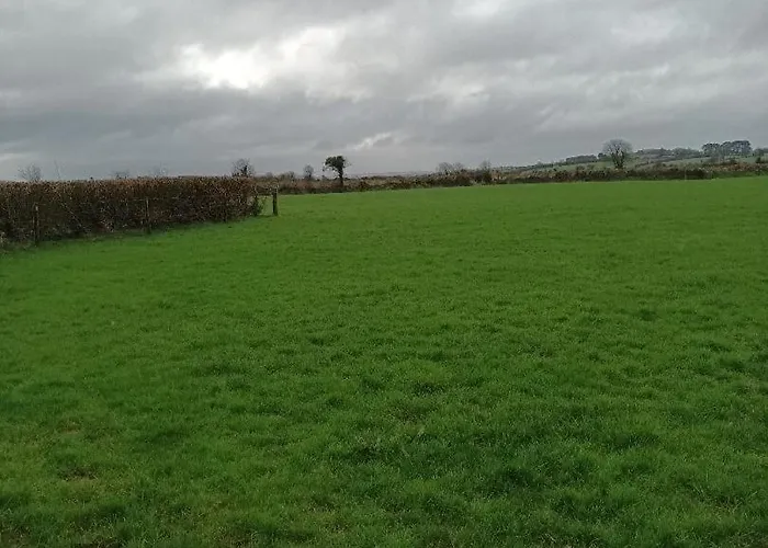 Hook Lighthouse Feevaghmore