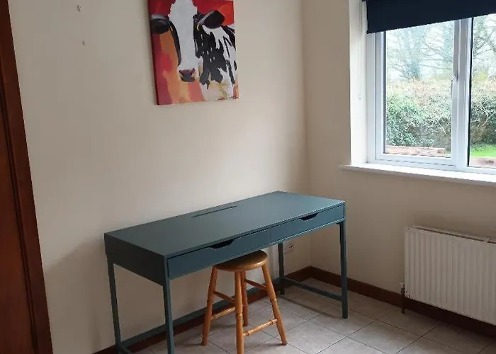 Hook Lighthouse Feevaghmore